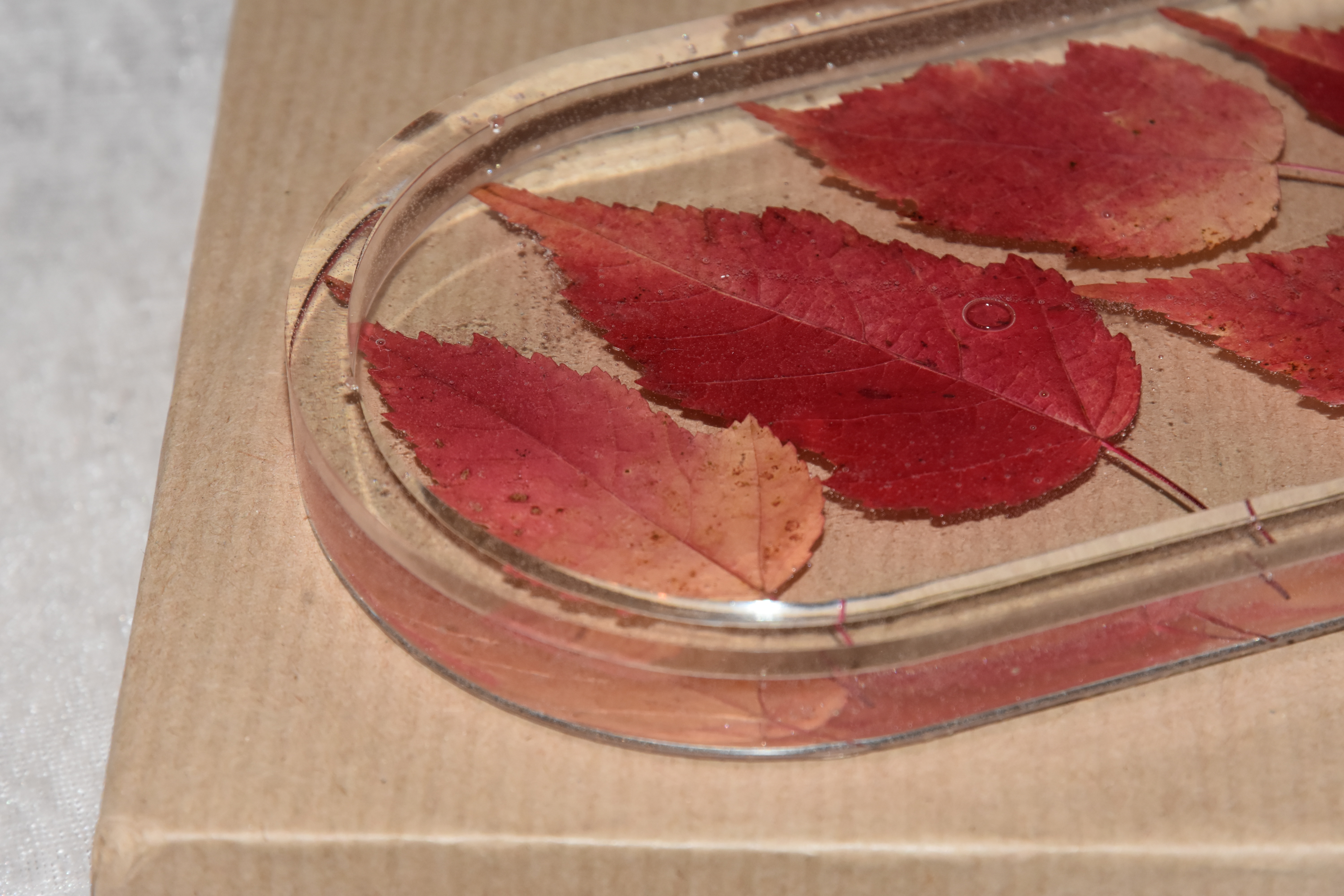Untersetzer-Tablett mit Herbstblätter für alles mögliche