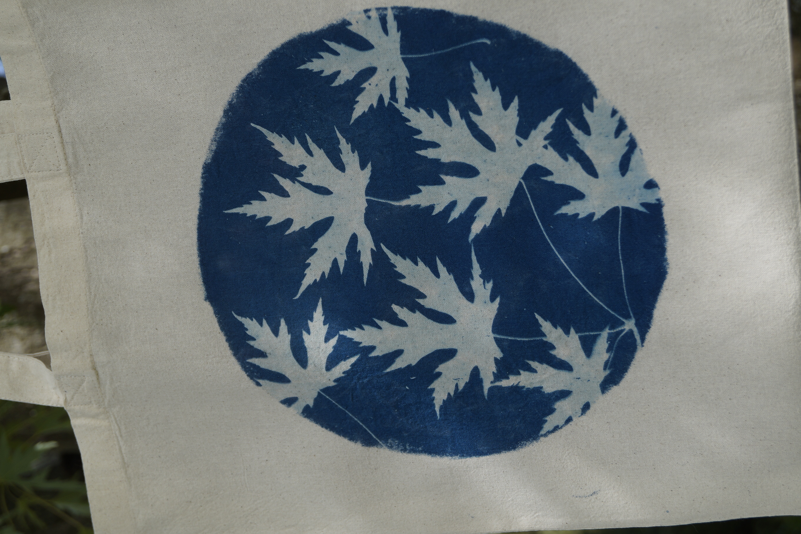 Cyanotype Baumwolltasche Silberahorn